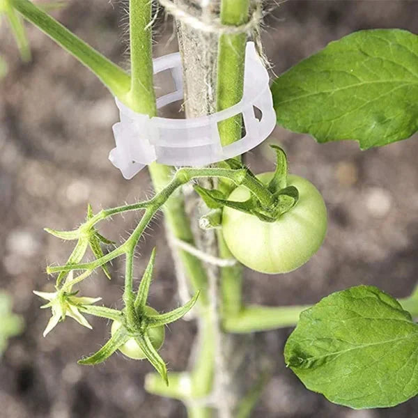 Reusable Plant Support Clips for Tomatoes, Vegetables & Garden Plants