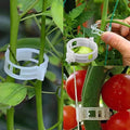 Reusable Plant Support Clips for Tomatoes, Vegetables & Garden Plants