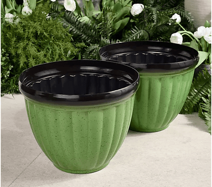 RootGlow™ – Promotes healthy plant growth and keeps roots stronger for longer [50% off]