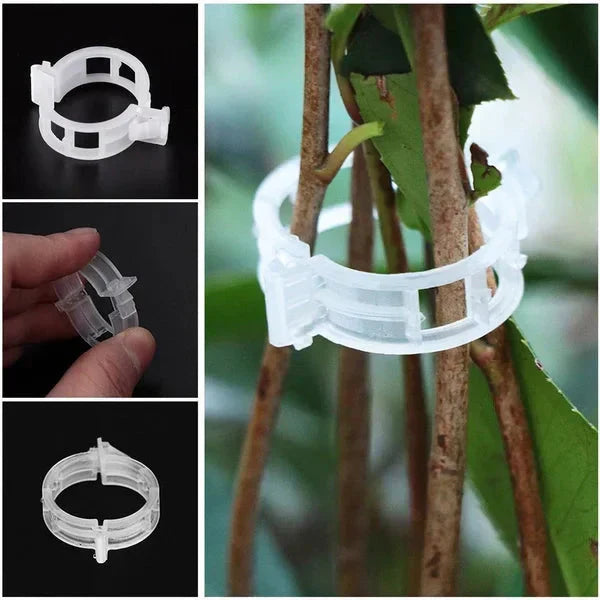 Reusable Plant Support Clips for Tomatoes, Vegetables & Garden Plants
