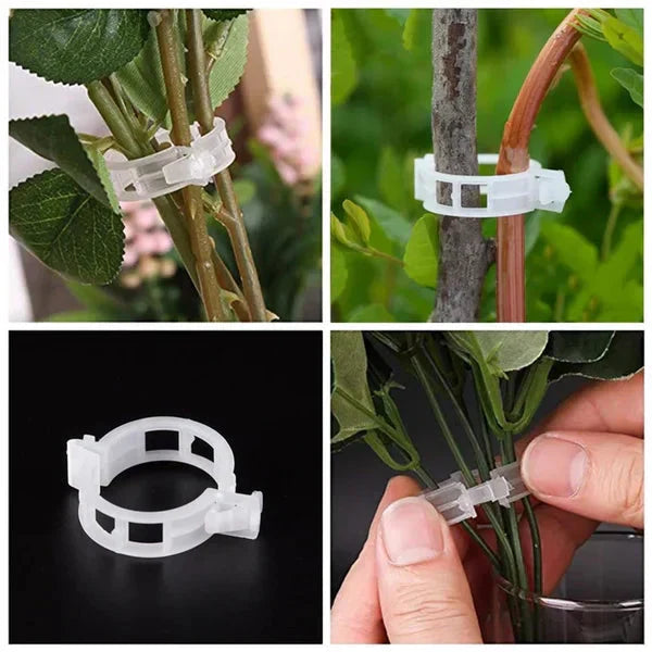 Reusable Plant Support Clips for Tomatoes, Vegetables & Garden Plants
