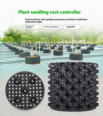 RootGuide™ – Root Guidance System for Healthy Roots and Stronger Growth Promotion [50% Discount]