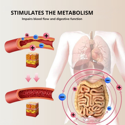ThermalSlim™ – Thermal Shaper for a Flat Belly [50% Off]