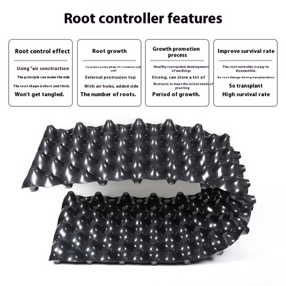 RootGuide™ – Root Guidance System for Healthy Roots and Stronger Growth Promotion [50% Discount]