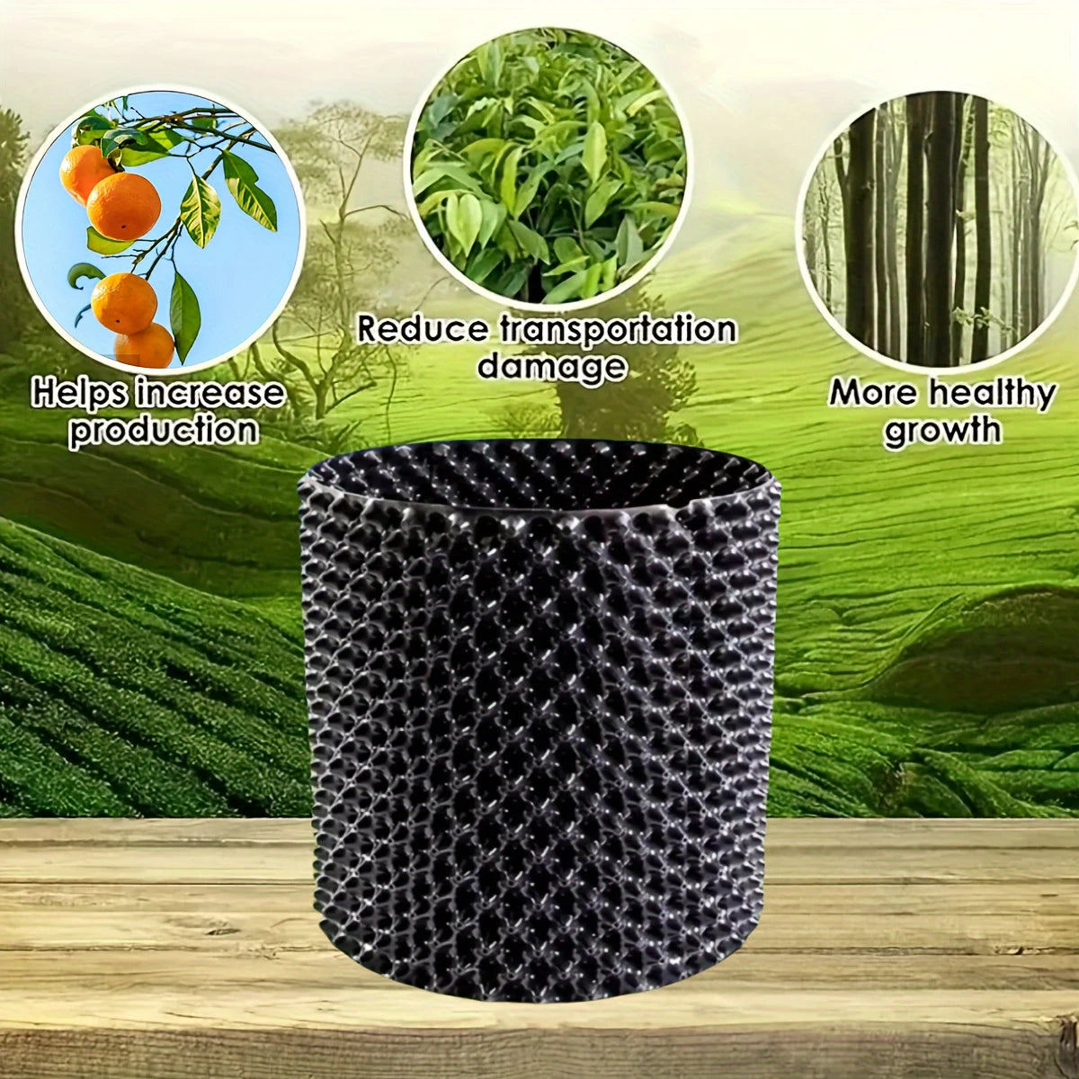 RootGuide™ – Root Guidance System for Healthy Roots and Stronger Growth Promotion [50% Discount]