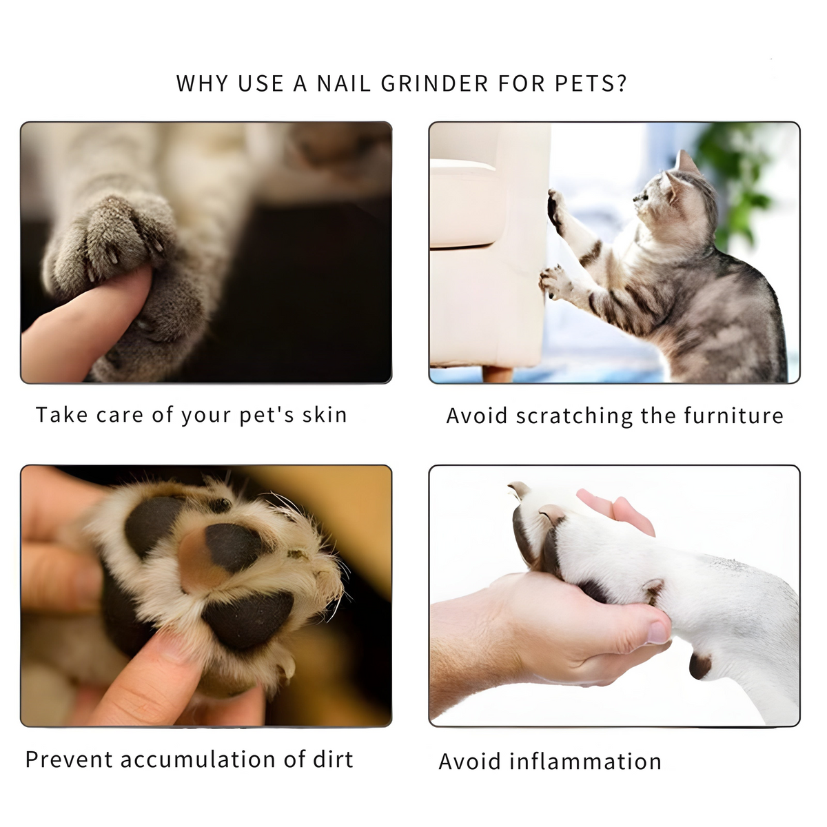 Electric Pet Nail Grinder for Dogs & Cats – Quiet & Safe