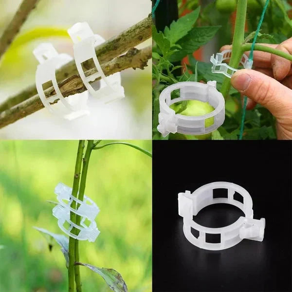 Reusable Plant Support Clips for Tomatoes, Vegetables & Garden Plants