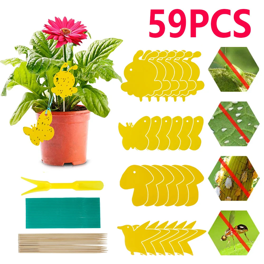 Non-Toxic Sticky Plant Traps for Fungus Gnats & Fruit Flies (59 Pack)