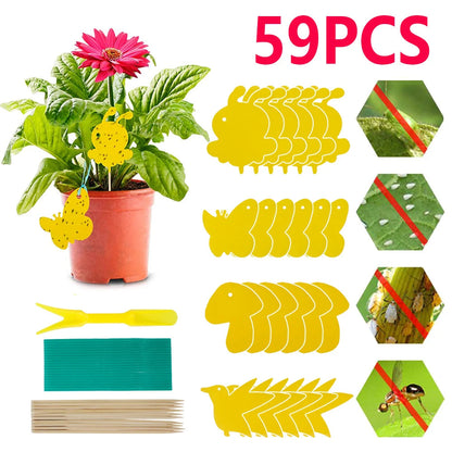 PestiGuard – Non-toxic Plant Traps for Healthy Plants [50% Discount]