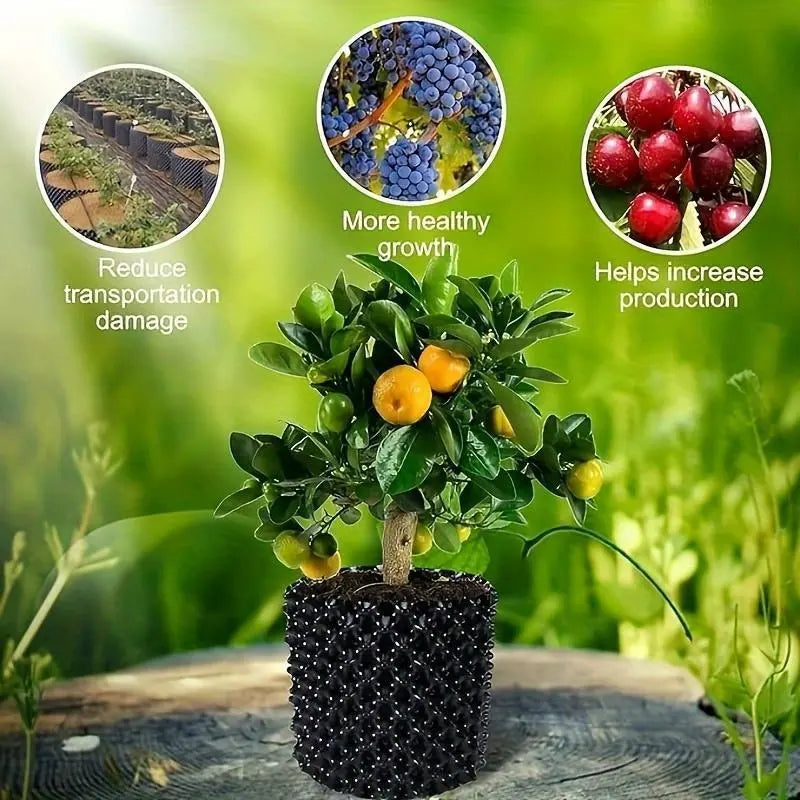 RootGuide™ – Root Guidance System for Healthy Roots and Stronger Growth Promotion [50% Discount]