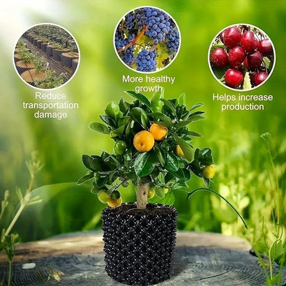 RootGuide™ – Root Guidance System for Healthy Roots and Stronger Growth Promotion [50% Discount]