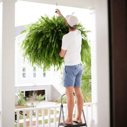 GreenGlow™ – Realistic Artificial Boston Fern for Decorative Green Interior Design [50% Off]