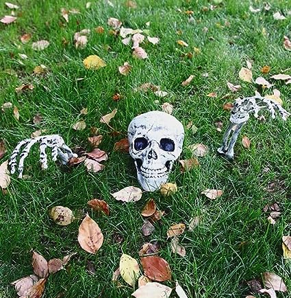 Graveyard™ – Skull Garden Decoration for Halloween [50% Off]