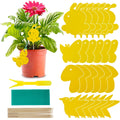 Non-Toxic Sticky Plant Traps for Fungus Gnats & Fruit Flies (59 Pack)