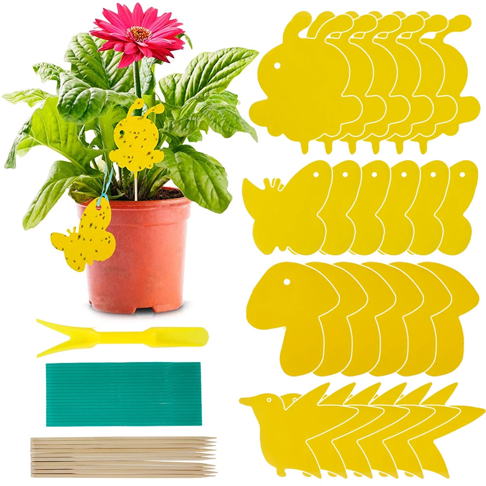 Non-Toxic Sticky Plant Traps for Fungus Gnats & Fruit Flies (59 Pack)