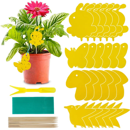 PestiGuard – Non-toxic Plant Traps for Healthy Plants [50% Discount]