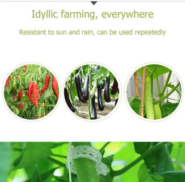 Reusable Plant Support Clips for Tomatoes, Vegetables & Garden Plants
