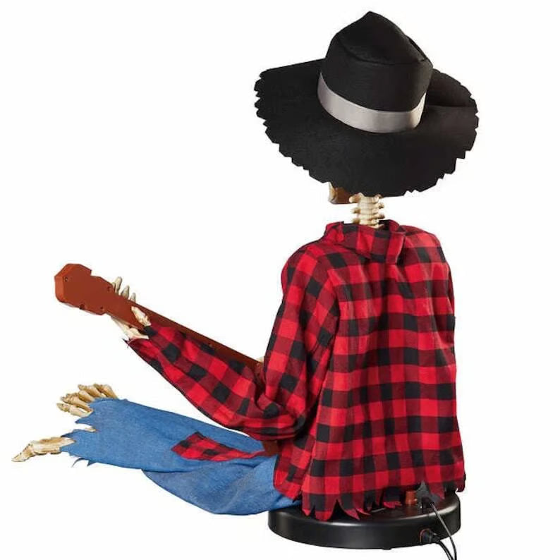 DuoBanjo™ – For Unforgettable Musical Celebration Joy [50% Off]