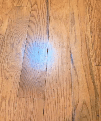 SparkShine – Floor Cleaning & Polishing Liquid for Brilliantly Shiny Floors [1 + 1 Free]