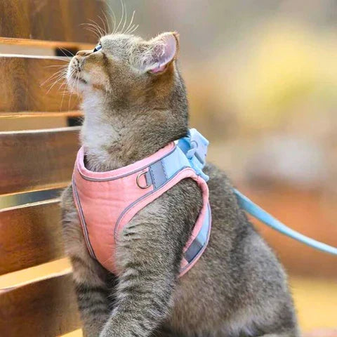 CatHarnes™ Reflective Cat Harness & Leash – 50% OFF