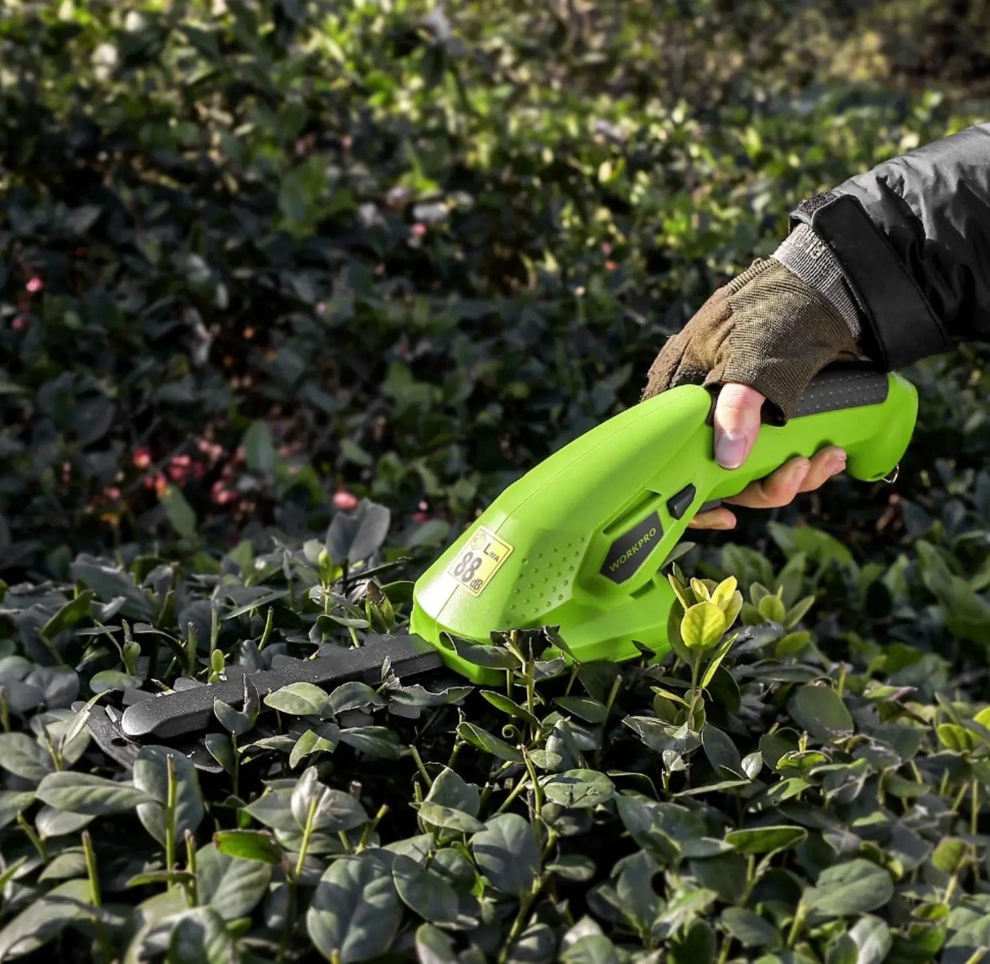 GartenSchnitt™ – Hedge Shears, Grass Shears, for exceptionally precise shrub trimming [50% Discount]