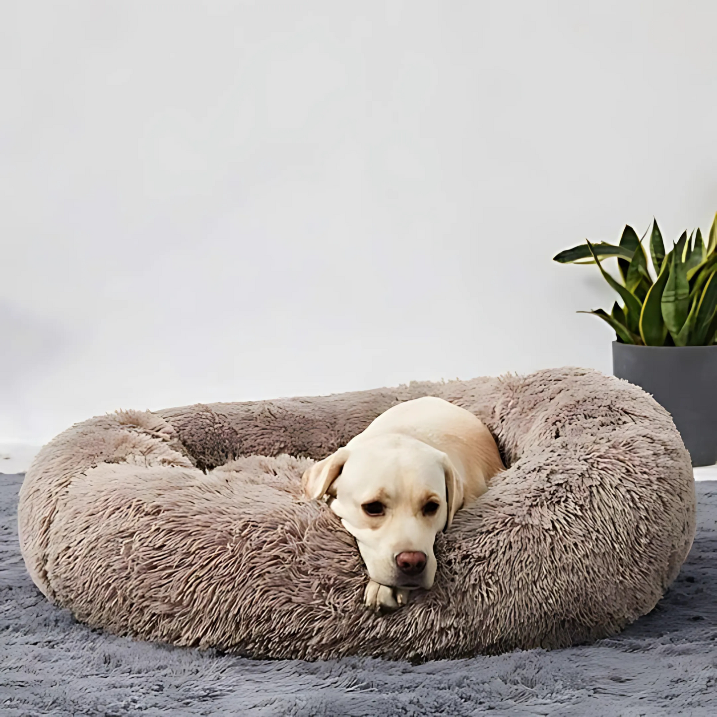 Nestly™ – Super Soft Pet Bed for Cozy, Relaxed & Happy Pets [50% Off]