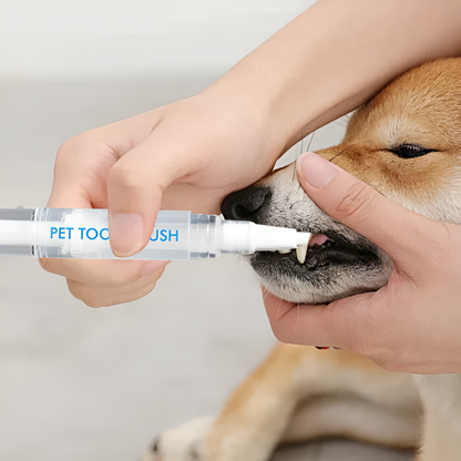 PawBright™ - Dental Care Pen for Dogs & Cats [1 + 1 Free]