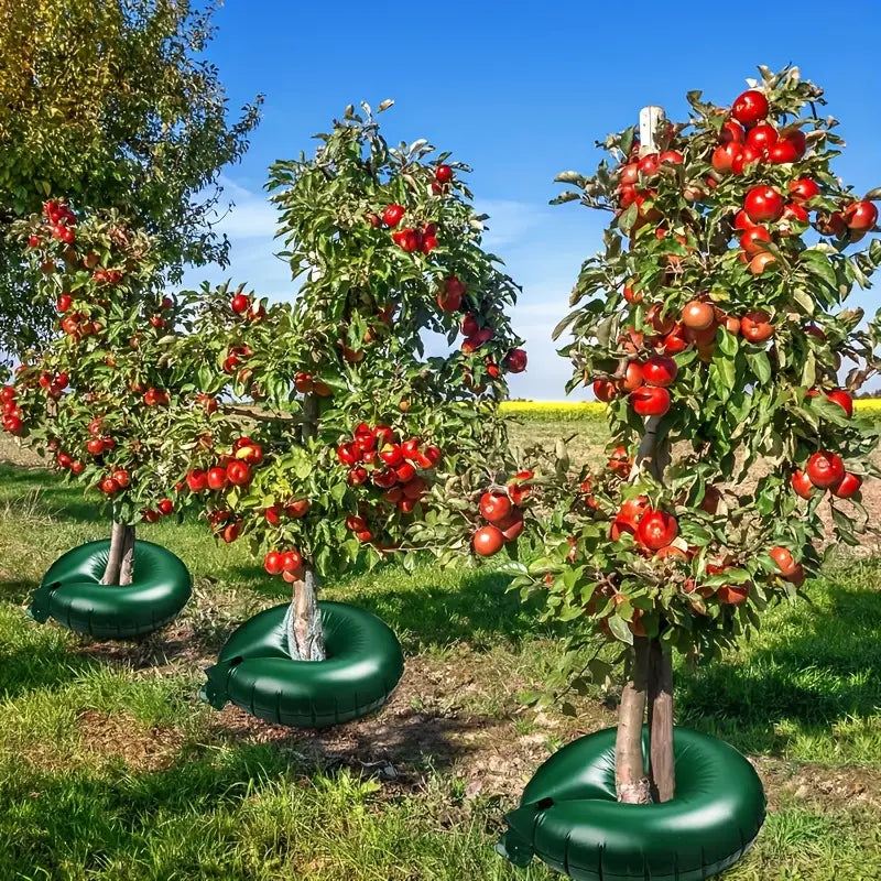 RootFlow – Drip Irrigation for Healthy Trees [50% Discount]