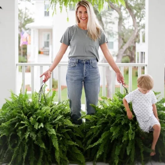 GreenGlow™ – Realistic Artificial Boston Fern for Decorative Green Interior Design [50% Off]