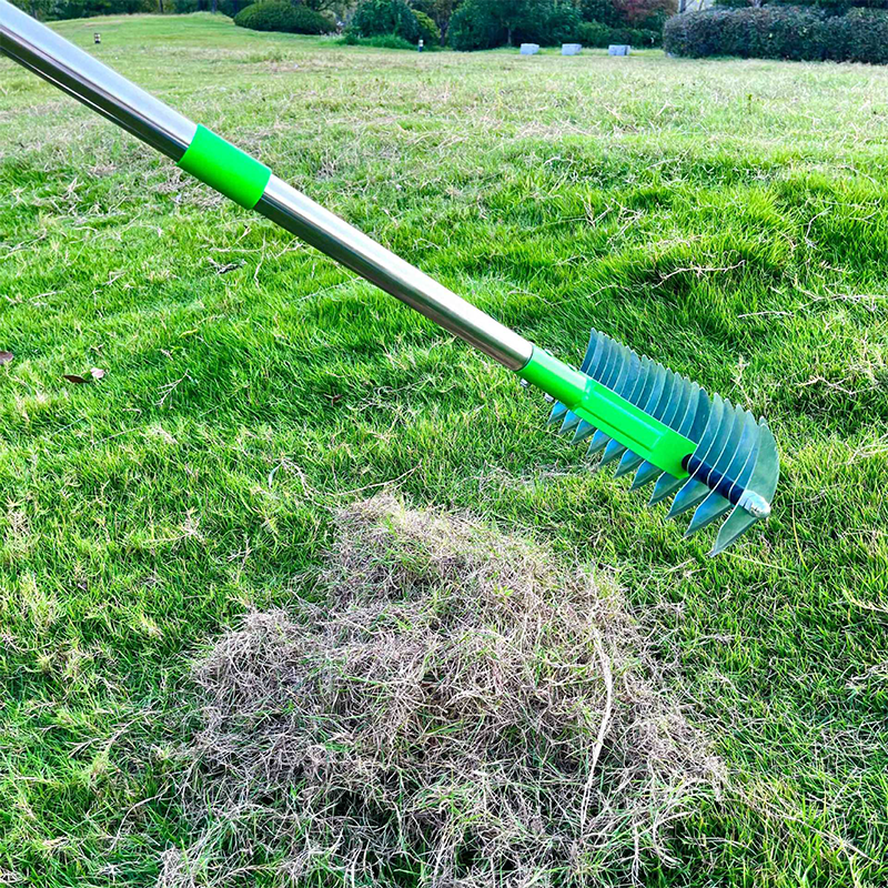Manual Lawn Scarifier with Telescopic Handle for Thatch Removal