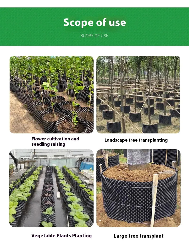 RootGuide™ – Root Guidance System for Healthy Roots and Stronger Growth Promotion [50% Discount]