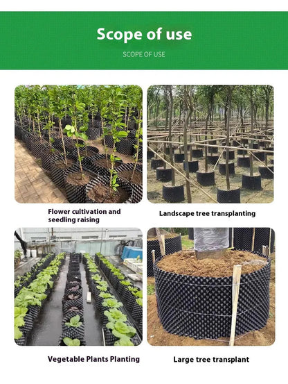 RootGuide™ – Root Guidance System for Healthy Roots and Stronger Growth Promotion [50% Discount]