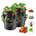Breathable Felt Grow Bag for Strawberries with Drainage Holes