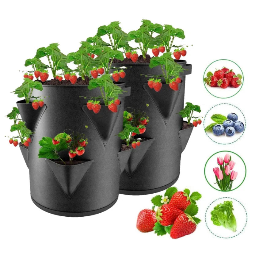 Breathable Felt Grow Bag for Strawberries with Drainage Holes