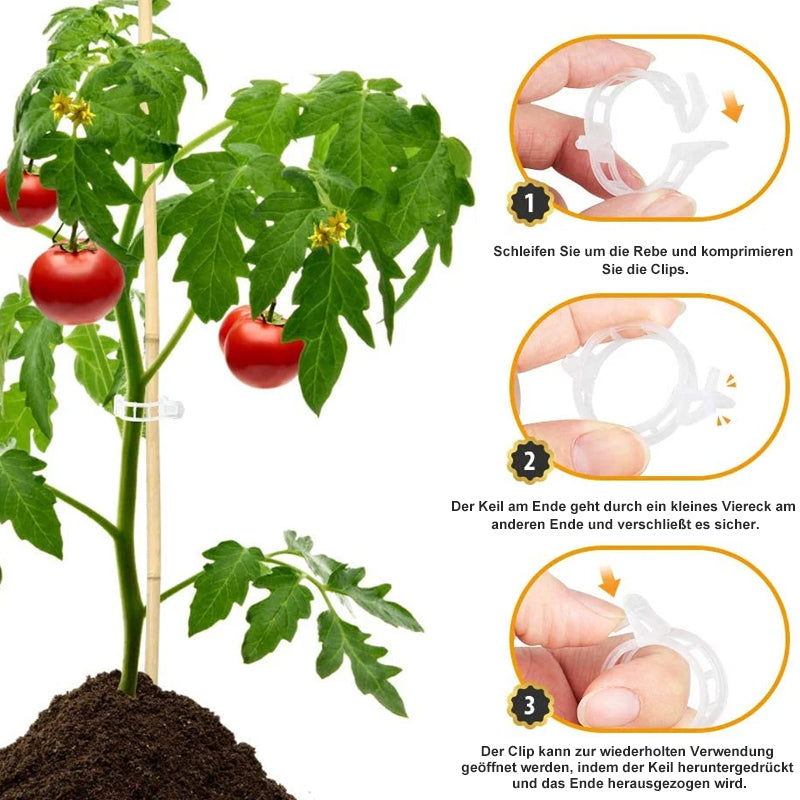 Reusable Plant Support Clips for Tomatoes, Vegetables & Garden Plants