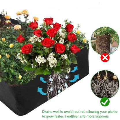 GreenNest – Grow lush herbs and vegetables without root crowding 50% discount
