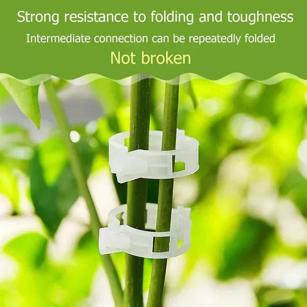 Reusable Plant Support Clips for Tomatoes, Vegetables & Garden Plants