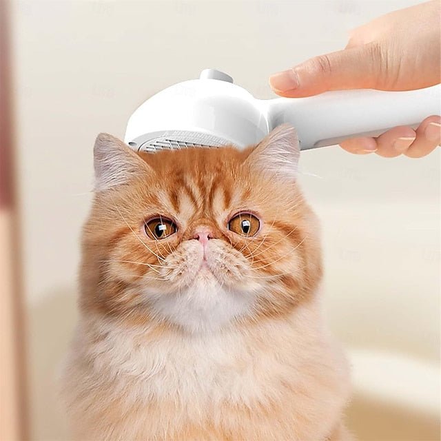 Pet Grooming Brush with Water Mist Spray for Dogs and Cats