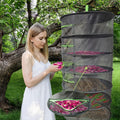 Hanging Herb Drying Rack with Mesh Layers for Herbs & Flowers