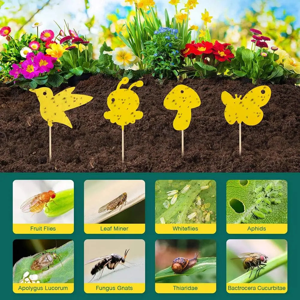 Non-Toxic Sticky Plant Traps for Fungus Gnats & Fruit Flies (59 Pack)