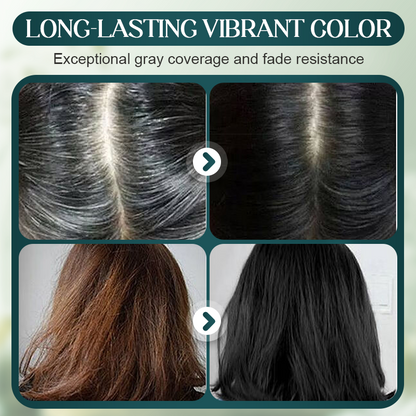BotaniDye™ – Black Hair Dye, Ammonia-Free & Plant-Based Natural Formula (160 ml) Everyday Care [1 + 1 Free]