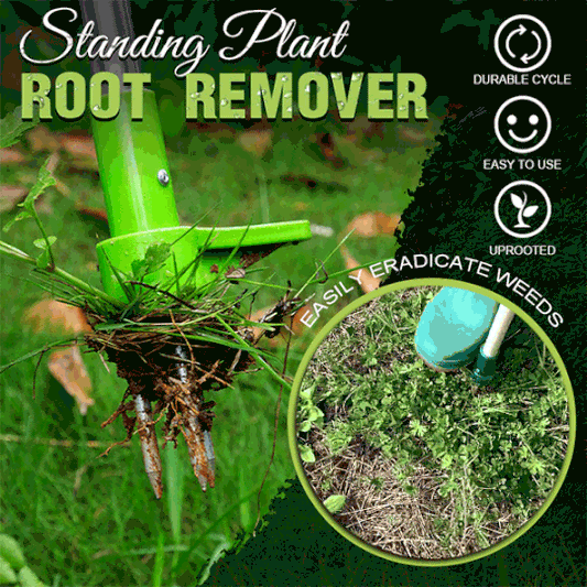 RootVanish™ – Permanent Root Remover for Unwanted Plants [50% Off]