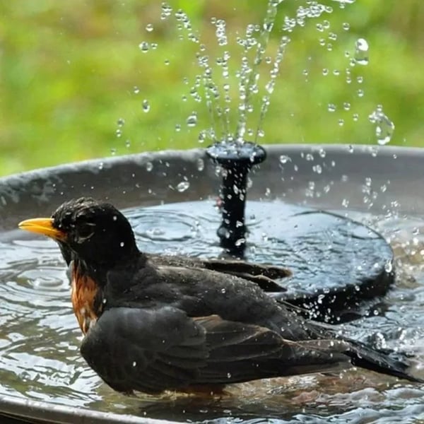 SolarSpray™ – Solar-Powered Bird Bath Fountain for Your Garden [50% Off]